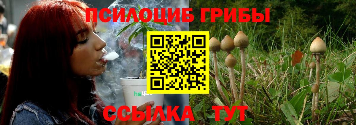 Псилоцибиновые грибы мицелий Янаул